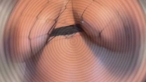 Titty Worship Findom Instructions