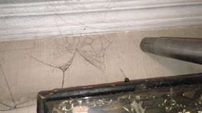 The black web has taken over the house wmv