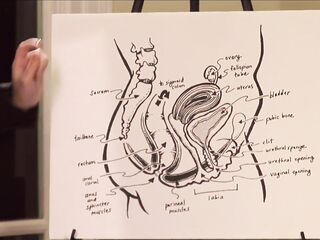 EDUCATIONAL ANAL SEX GAMES