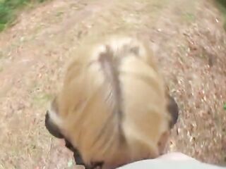 POV - Uma