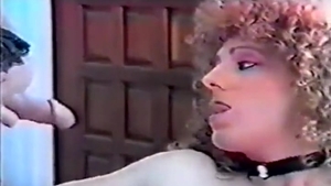 1977 Antique tgirl Porno Old school