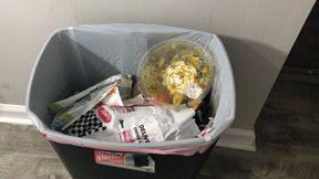 Tiny Trash Part V2