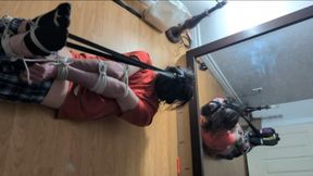Harness gag hogtied