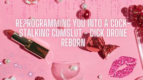The NLP toolbox: Triggers to Whore - Candy’s Born - Say Goodbye, Little Bitch