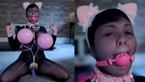 SHIBARI PETGIRL HUMILIATION