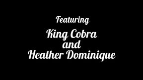 i love cobra cum inside my pussy: heather dominique craves more cobra cum