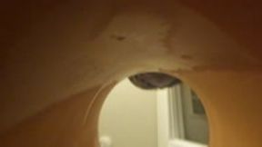 Idiotic Tiny Human in Giantess Cup POV  4k