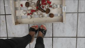 Rotten Fruit Trampling