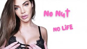 No Nut, No Life SD