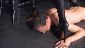 Head Trampled - WMV - 1440