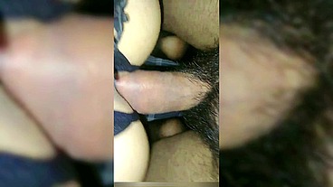 Cualquier día es bueno para ser su perra
