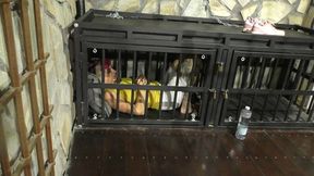 The Maya 72h Challenge - Maya Homerton - The ultimate Bondage Session - Clip 8 - In the Cage - Full Clip wmv HD