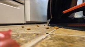 Tiny Jim Swept up with Giant Broom and Thrown in Trash POV 4k