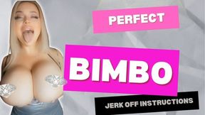 Perfect Bimbo Jerk Off Instructions