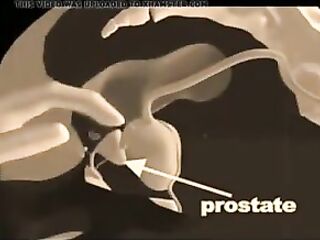 How to give a prostate massage