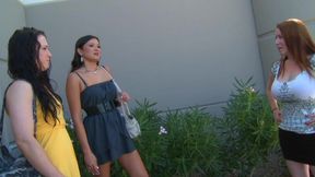 Milfs Like It Black 13