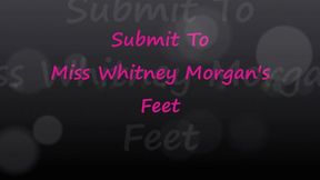Submit To Miss Whitney Morgan's Feet - mp4