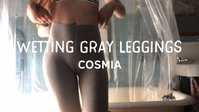 Wetting Gray Leggings