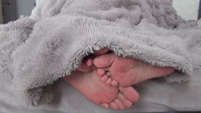 Male and female legs flirt under the blanket cc