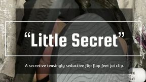 Little Secret
