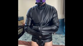 SD Scarlett Kage and Puppy Play FULL video - sensual domination, puppy play, pet play, masks, strap on, leather, straightjacket, femdom, male submission, bdsm MP4