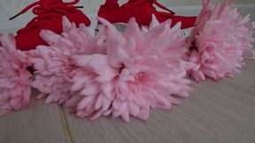 Crushed chrysanthemums with red sneakers aa