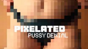 PIXELATED PUSSY DENIAL