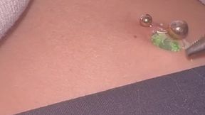 Jellybean stuck in Jill;s navel