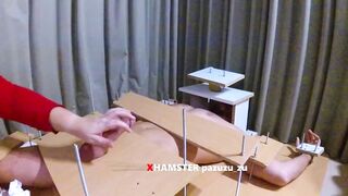 Tease and Denial Hand Job. CBT. Destroyed Orgasm and Post Orgasm