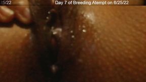 day 7 wife breeding attempt - sexygamingcouple