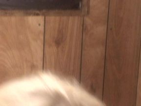 69 Scenes: Backdoor Blondes