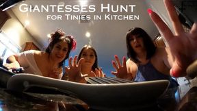 Giantesses Hunt for Tinies in Kitchen - SD - a Vore Unaware video featuring Sydney Screams, Virah Payam, and Jane Judge with Biting, Mouth and Teeth Fetish, Cooking, Eating, Food, and sexy BBW babes dangling you over their open mouths!