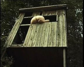 Vintage Retro German Amateur your Daily Dose of Porn