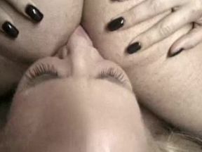 The Best Of Alana Evans