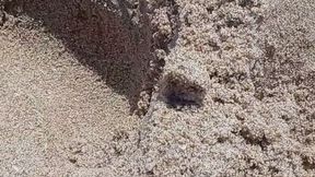 BEACH DAY!!