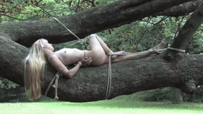 bondage tree with Tiny Lolicoon - wmv 720p