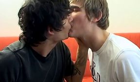 amateurs clark fox and jerry anal breed