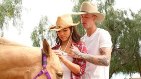 Unapproachable Gabriella Ford - hat xxx - Teens Love Huge Cocks