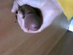 Korean Amateur Sucks Cock in Bathroom Gloryhole