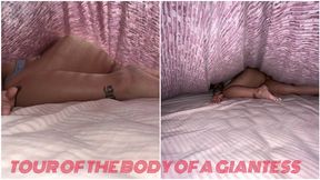 Walking through the body of a giantess
