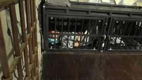 The Maya 72h Challenge - Maya Homerton - The ultimate Bondage Session - Chapter 18 - More Cage Time - Full Clip mp4 HD