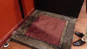 straightjacketed in a very secure underground box! i was very keen as usual, and a bit giggly, and sinister had some fun manh...