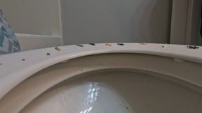 Tinies Hanging out on Giantess Toilet 4K