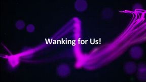Wank for Us! *mp4*