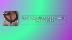 Spoil the Cleavage You’ll Never Touch