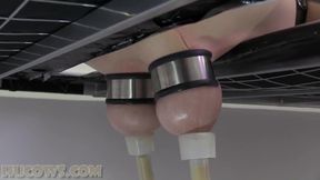Arabella Banded Udders