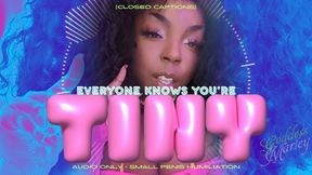 Everyone Knows You're Tiny! [closed captions] - MOV