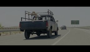 TERMINATOR   2019