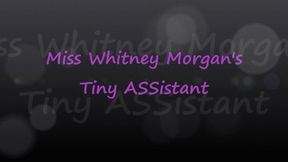 Miss Whitney Morgan’s Tiny ASSistant - mp4