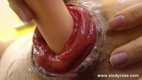 Sindy Rose Stretches Her Butt&#x1F351; With Big Cock&#x1F32D; and DildoFuck